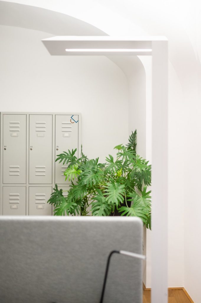 Kipferlhaus Arbeiten im Ersten